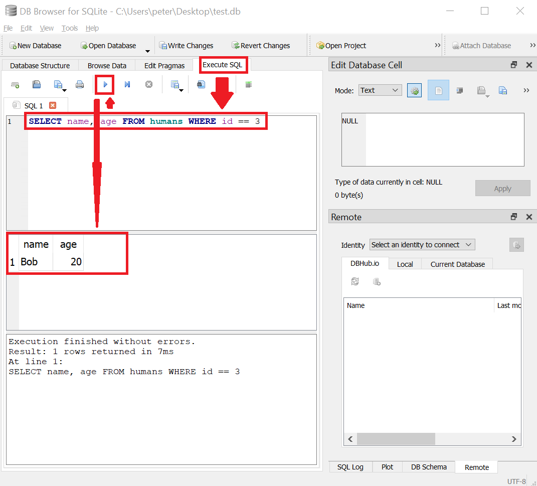 Run a SELECT query to retrieve data from the database.